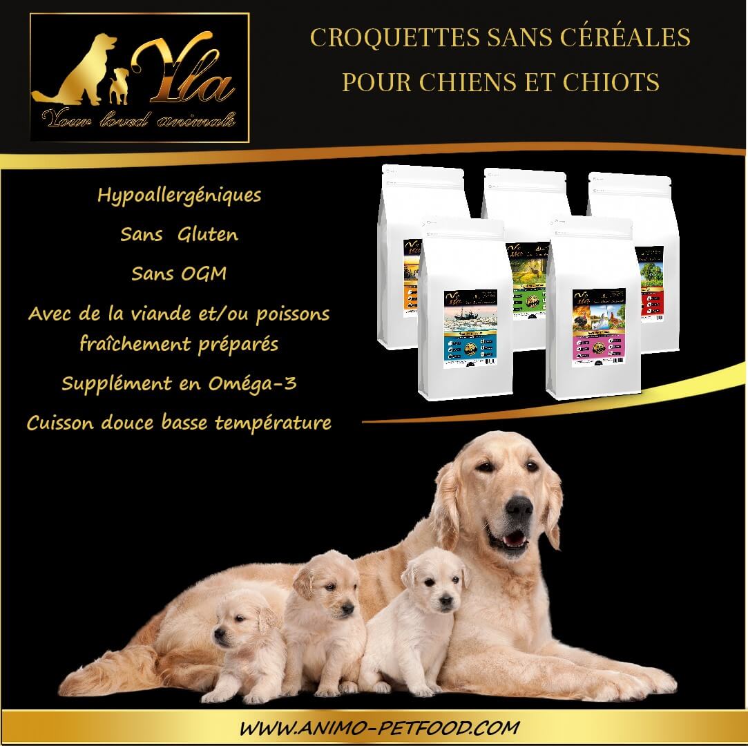 croquettes-yla-sans-gluten-pour-chien